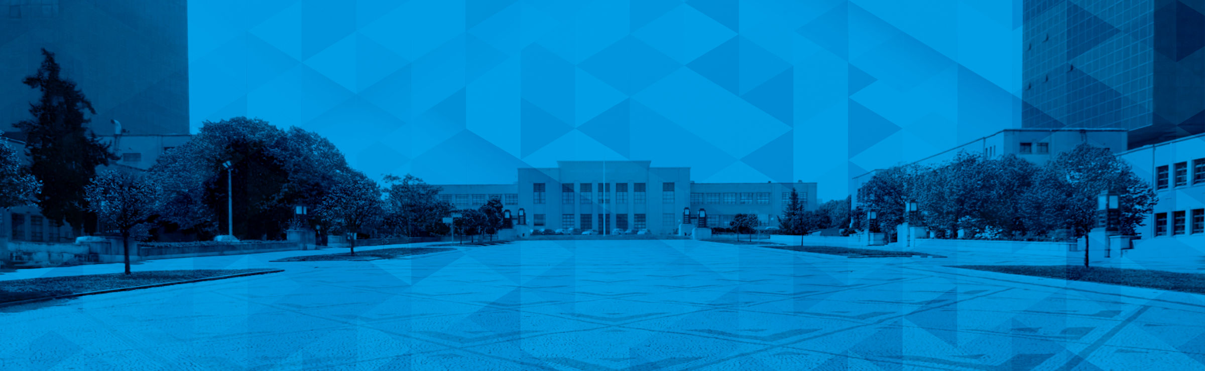 slide banner_XL1